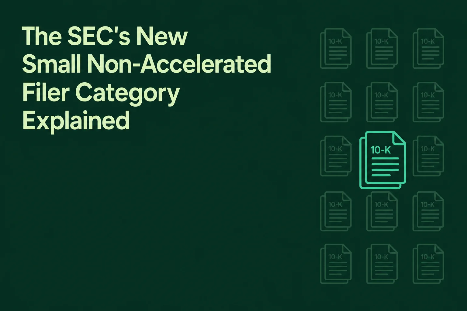 The SEC's New Small Non-Accelerated Filer Category Explained